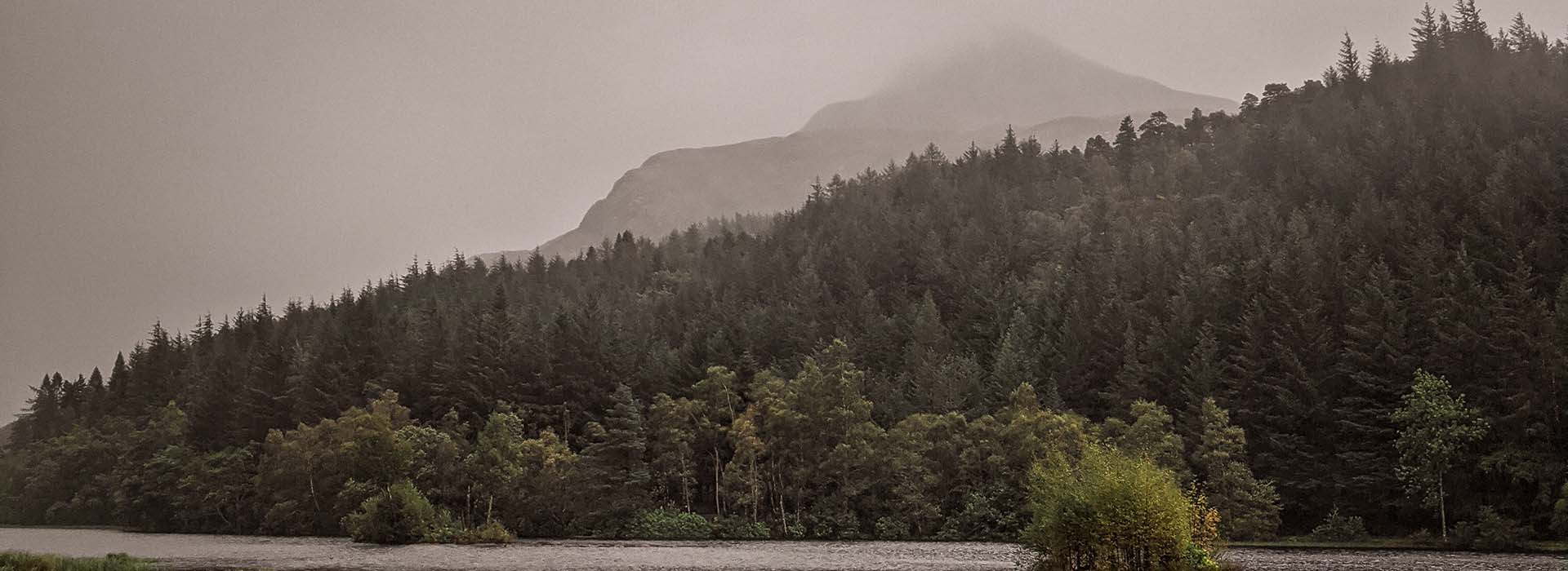 Mountainscape behind trees