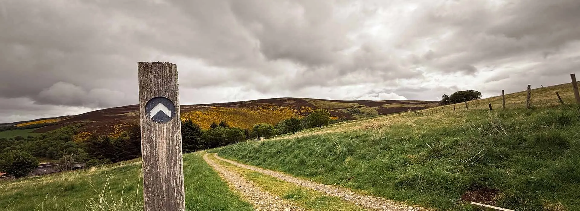 Outdoor walk area in field