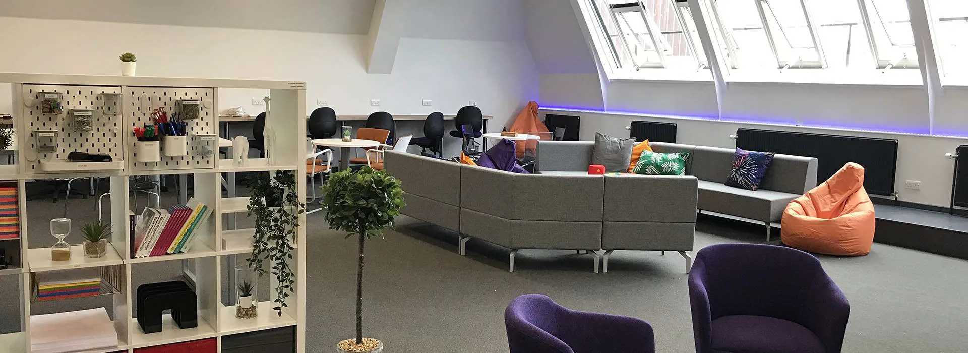 modern room with comfortable seating and bookshelves