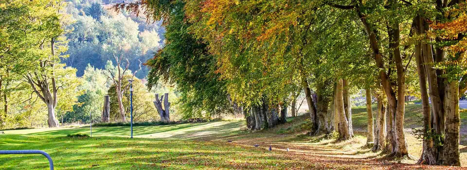 RGU campus in the autumn