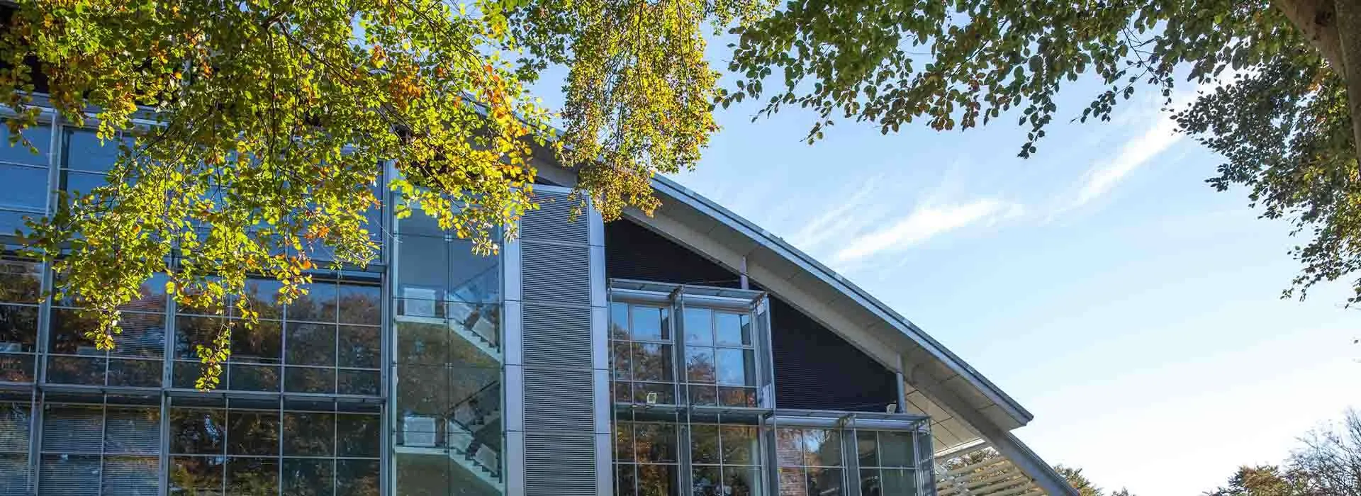 autumn trees next to RGU buildings