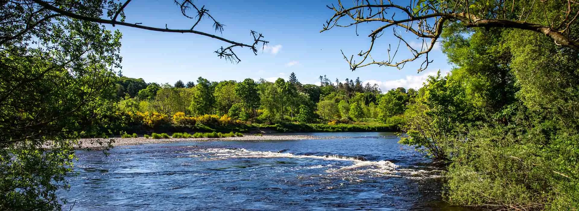 The River Dee beside campus