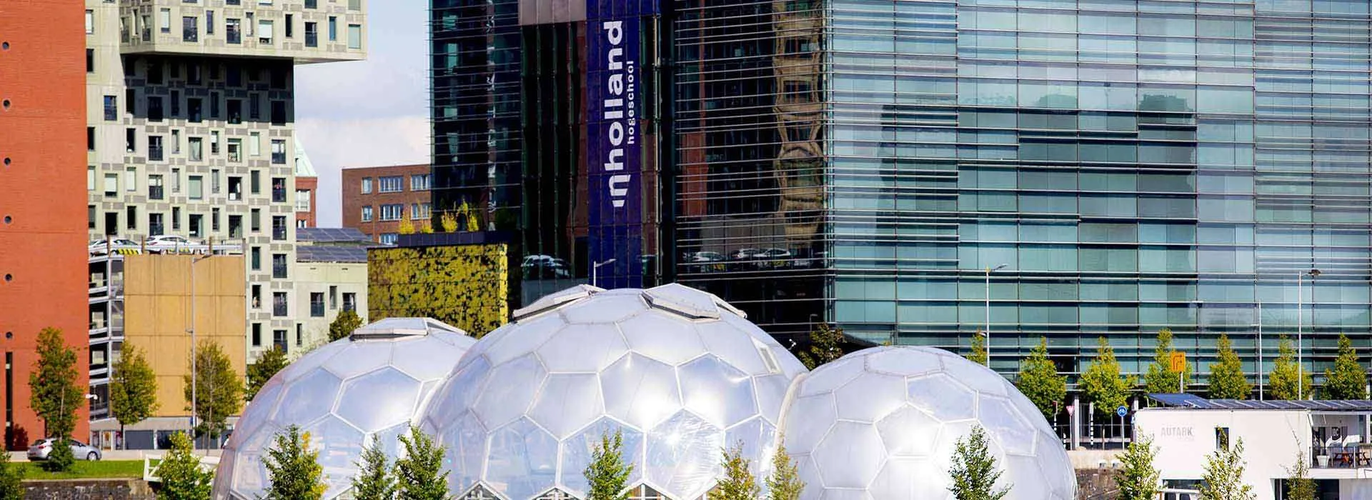 INHolland University of Applied Sciences