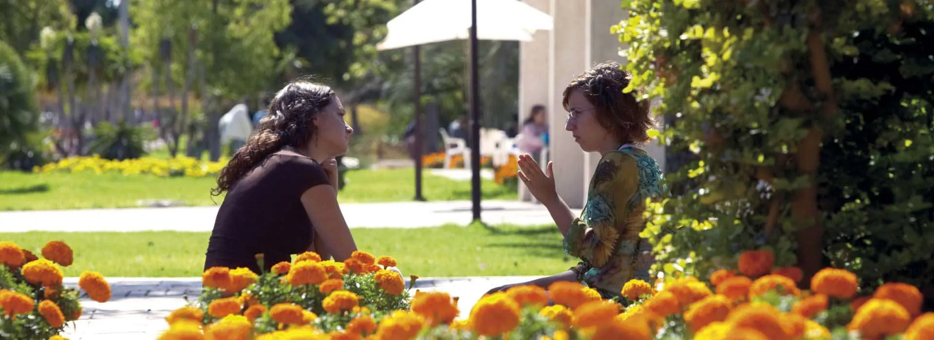 Universidad de Alicante