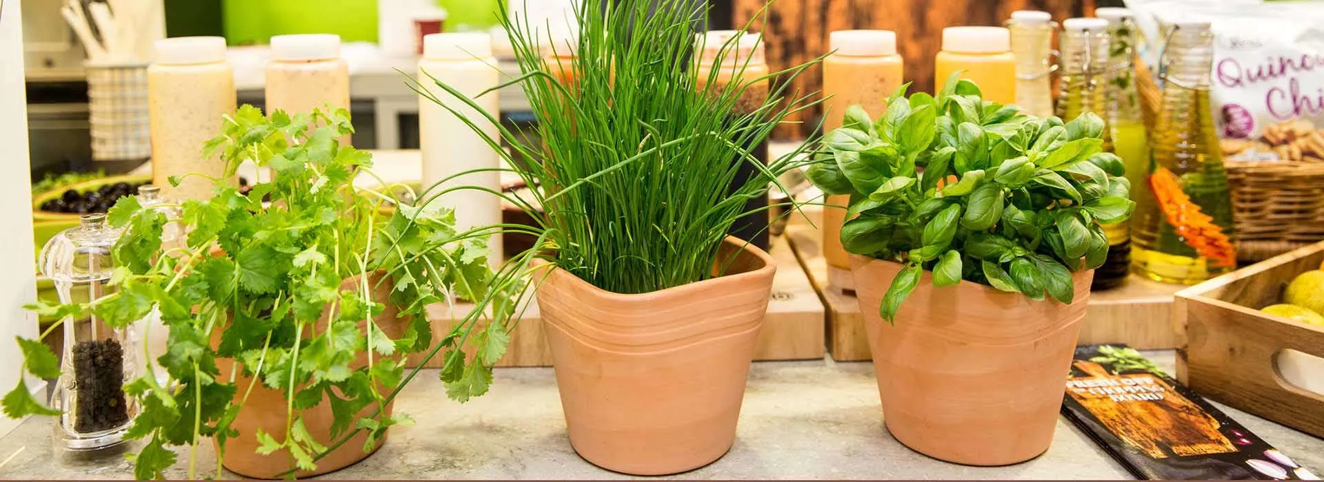 plants sitting in front of a cafe