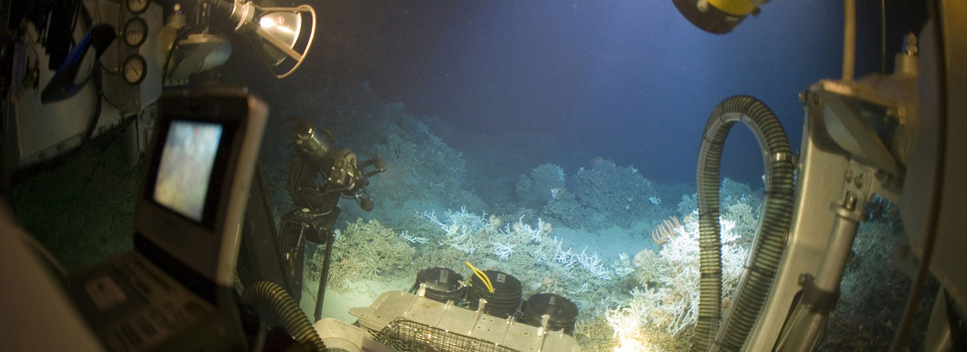 ocean bed view from a submersible