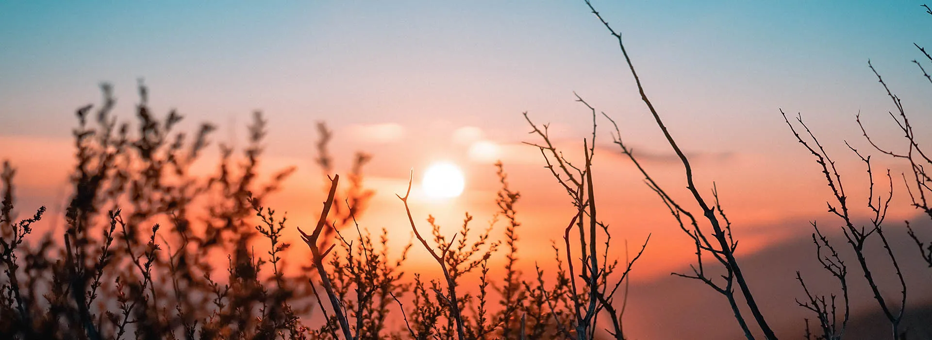 Partnering with Indigenous students and communities