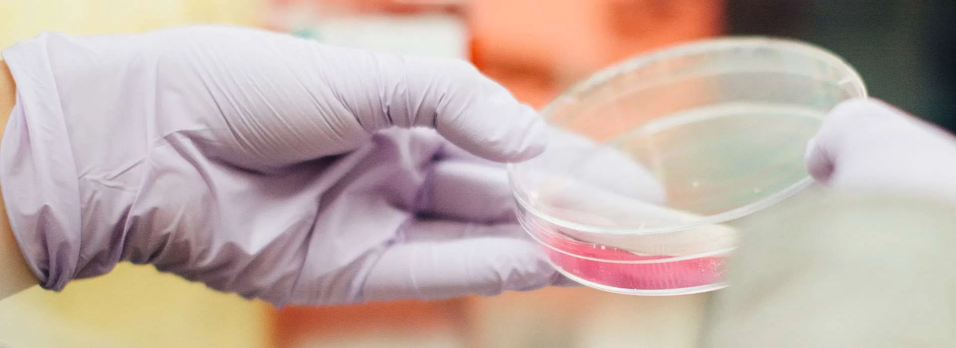 Dietetic Placement Portfolios & Profiles