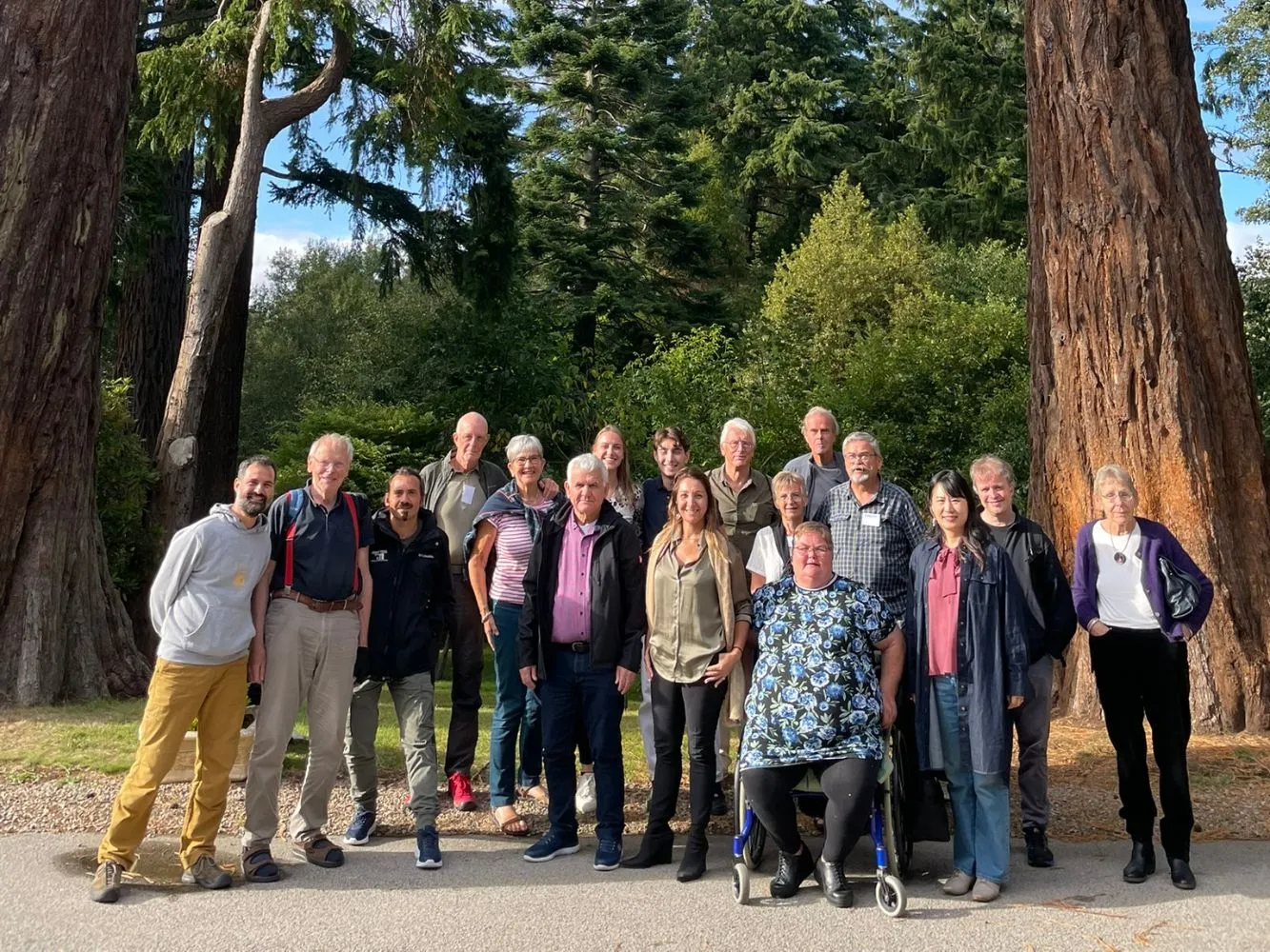Community members underneath tall trees in a forest
