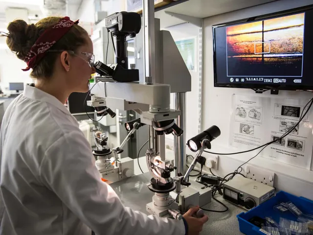 student using a high powered microscope system