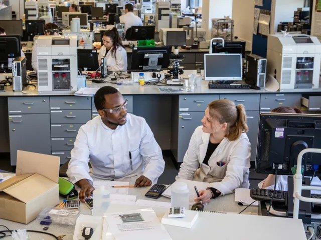 students working in a lab