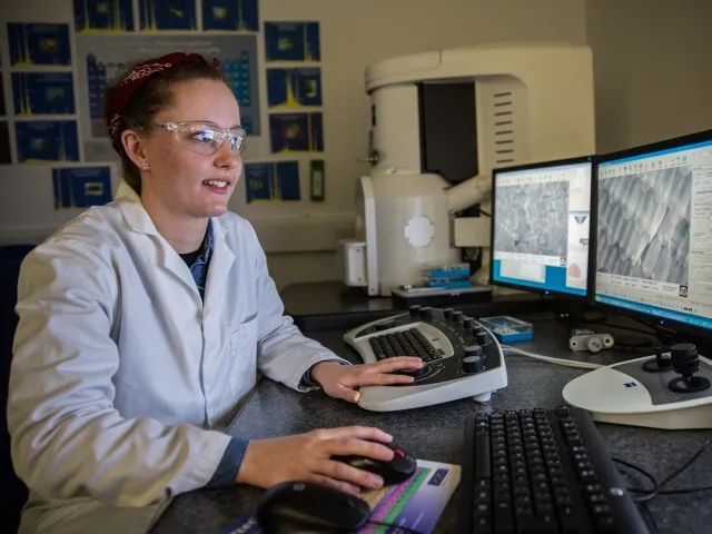 student looking at electron microscope images on a computer monitor