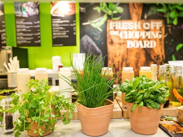 plants sitting in front of a cafe