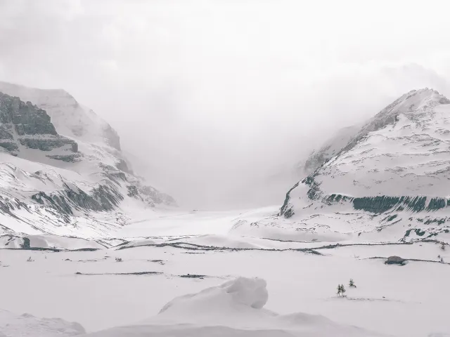 COIL@UArctic Partners