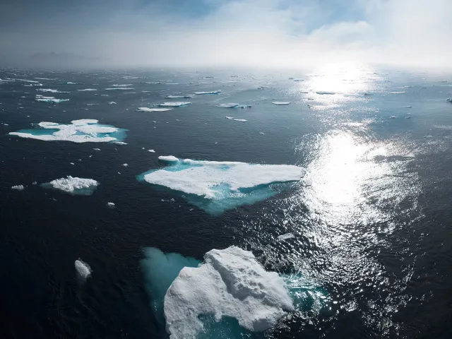 pieces of icebergs floating in the sea