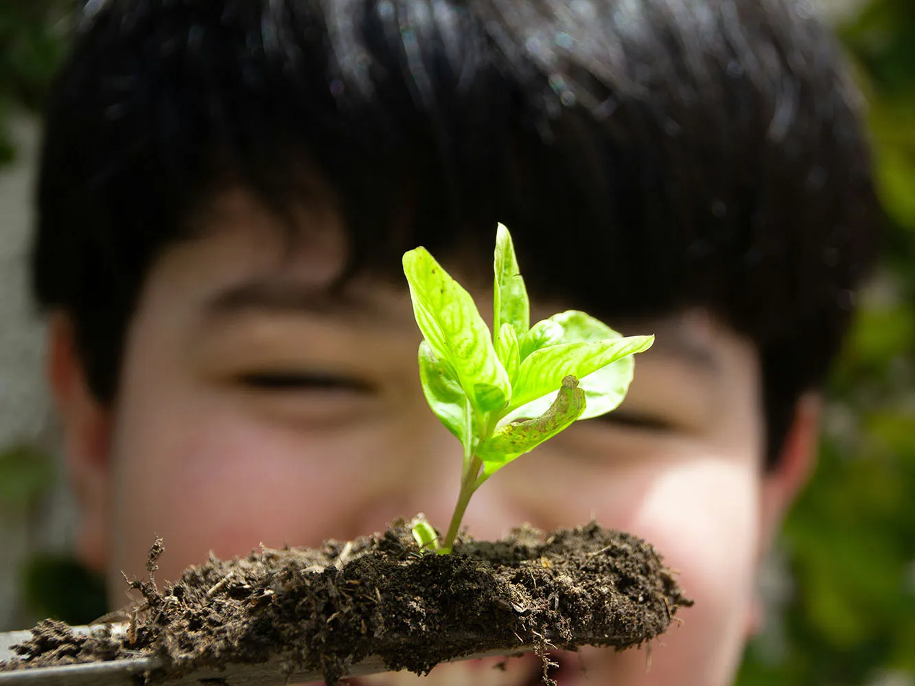 Person looking at some leaves
